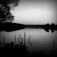 /album/tyssuls-images-gallery/photolia-b01-jpg/